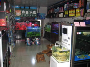 常熟寵友福利 低價寵物用品與特色小店探秘